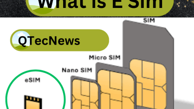 What is E Sim