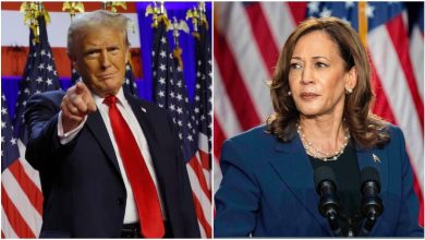 672bd7f2a8b21 Donald Trump Defeated Kamala Harris In Us Presidential Election 065612952 16x9.png